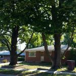 Tree Services of Omaha is a full service tree care provider in Omaha, Nebraska offering tree removal, tree trimming, stump removal, stump grinding, tree health care, and arborist consultations.