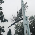Tree Services of Omaha is a full service tree care provider in Omaha, Nebraska offering tree removal, tree trimming, stump removal, stump grinding, tree health care, and arborist consultations.