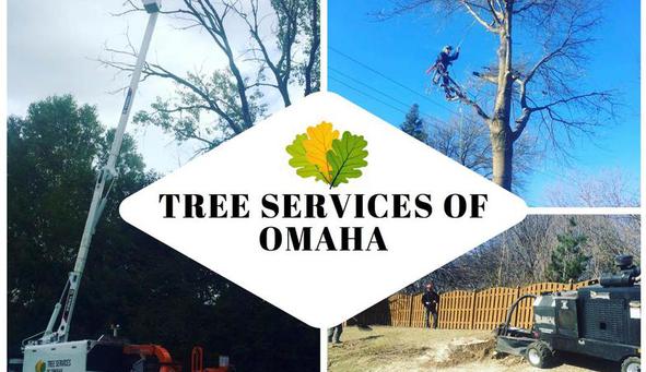 Tree Services of Omaha - 402-650-4773